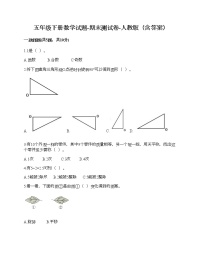 五年级下册数学试题-期末测试卷-人教版（含答案） (13)