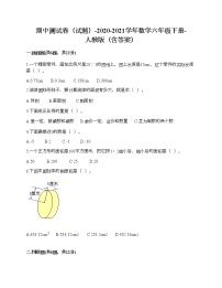 期中测试卷（试题）-2020-2021学年数学六年级下册-人教版（含答案）