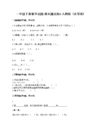 一年级下册数学试题-期末测试卷3-人教版（含答案）