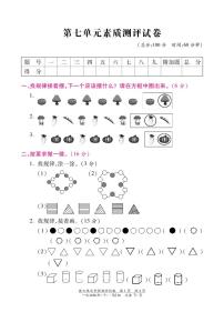 小学7. 找规律精练