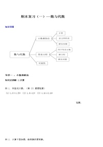 五年级上册数学专项练习-期末复习讲义（一）：数与代数（苏教版，无答案）学案