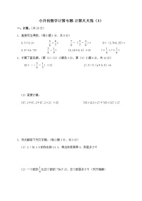 2021-2022学年小升初数学计算专题-计算天天练3(无答案)