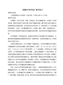 小学北师大版数学好玩2 搭配中的学问教案