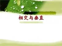 北师大版四年级上册2 相交与垂直示范课课件ppt