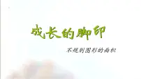 小学数学2 探索活动:成长的脚印教课课件ppt