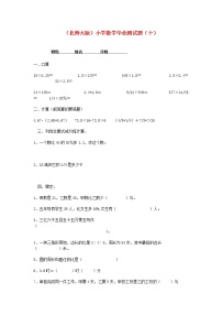 北师大版六年级数学小学毕业测试题（十）