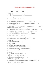 北师大版六年级数学小学毕业测试题（六）