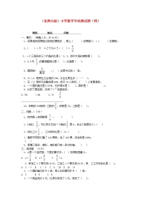 北师大版六年级数学小学毕业测试题（四）