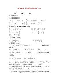 北师大版六年级数学小学毕业测试题（七）