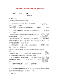 人教版六年级数学小升初专题练习：面积与体积