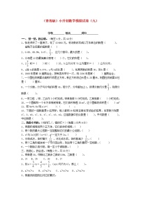 青岛版小升初数学模拟试卷（九）