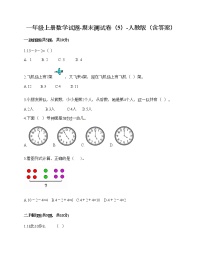 一年级上册数学试题-期末测试卷（5）-人教版（含答案）