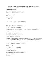 五年级上册数学试题-期末测试卷-人教版（含答案）