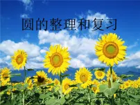 小学数学西师大版六年级上册二 圆综合与测试复习课件ppt