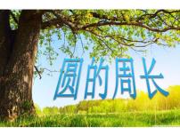 小学数学圆的周长课文内容ppt课件