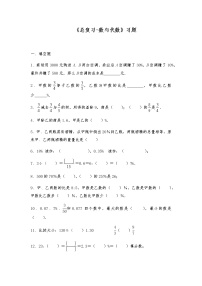 六年级数学上册试题 -《总复习-数与代数》习题-北师大版（含答案）