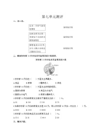 人教版数学六年级上册  第七单元复习测评  试卷（含答案）