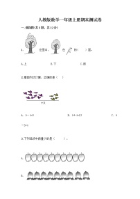 人教版数学一年级上册期末测试卷精品加答案