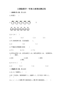 人教版数学一年级上册期末测试卷及一套完整答案