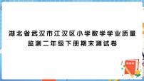 湖北省武汉市江汉区小学数学学业质量监测二年级下册期末测试卷+答案+讲解PPT