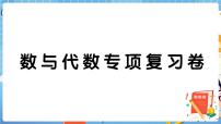 人教版数学五下 数与代数专项复习卷+答案+讲解PPT