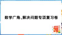 人教版数学五下 数学广角、解决问题专项复习卷+答案+讲解PPT