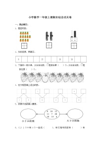 西师版小学数学一年级上期末综合过关卷