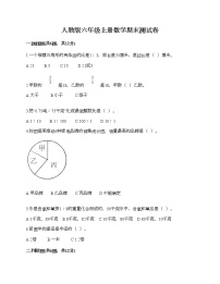 人教版六年级上册数学期末测试卷必考题