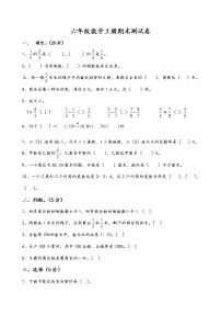 六年级数学（上）期末测试卷  无答案 (33)