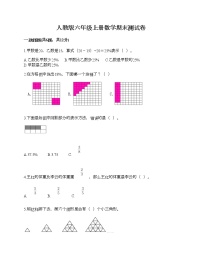 人教版六年级上册数学期末测试卷（精选题）