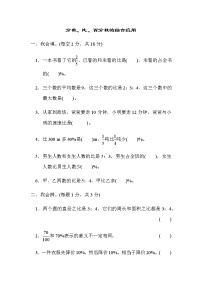 人教数学六上  重难点突破卷2 分数、比、百分数的综合应用