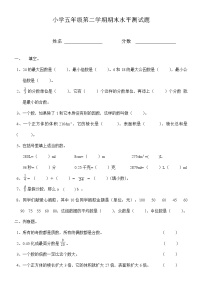 小学数学五年级下册期末水平测试题