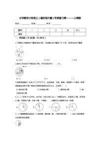 【期末专项复习】小学数学六年级上册（扇形统计图）专项复习卷（含答案）人教版