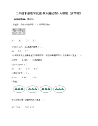 二年级下册数学试题-期末测试卷5-人教版（含答案） (1)