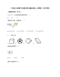 一年级上册数学试题-期末测试卷2-人教版（含答案） (1)