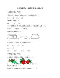 人教版数学一年级上册期末测试卷（黄金题型）