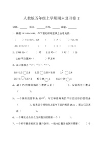 期末复习（试题）数学五年级上册 人教版（无答案）