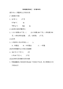 2021年青岛版小学数学三年级上册 期末专项提升卷02（含答案）