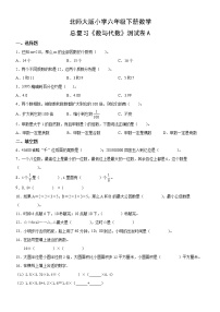 小学数学北师大版六年级下册数与代数复习练习题