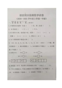 内蒙古呼伦贝尔市海拉尔区哈克学校2020-2021学年第一学期一年级数学期末调研试题 （图片版，无答案）