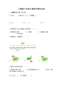 人教版六年级上册数学期末试卷含答案（精练）