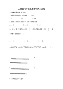 人教版六年级上册数学期末试卷附参考答案（精练）