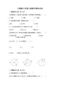 人教版六年级上册数学期末试卷带答案（黄金题型）