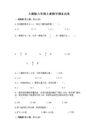 人教版六年级上册数学期末试卷含答案（夺分金卷）