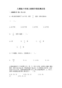 人教版六年级上册数学期末测试卷（精练）