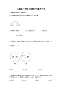 人教版六年级上册数学期末测试卷（考点精练）