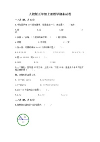 人教版五年级上册数学期末试卷（模拟题）