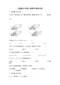 人教版五年级上册数学期末试卷附答案（考试直接用）