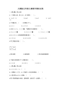 人教版五年级上册数学期末试卷（完整版）