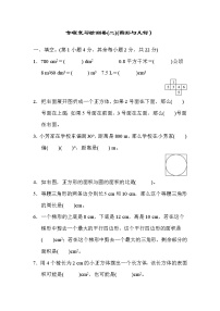 2022年人教版小学数学六年级小升初专题复习卷02（含答案）